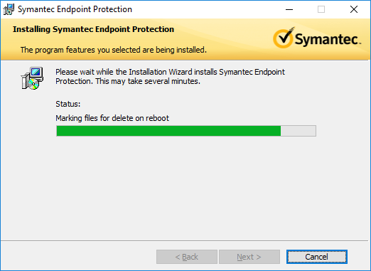 symantec endpoint protection license type